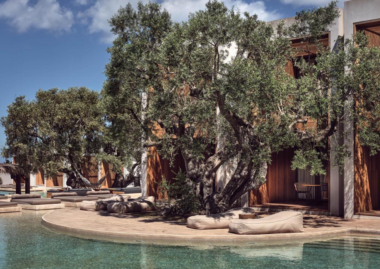 Olea Hotel, A Member Of Design (adults Only) 5* Циливи